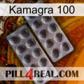 Kamagra 100 31